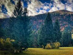 E_fitmachmit_ank&uuml;ndigung