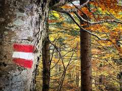 E_fitmachmit_ank&uuml;ndigung