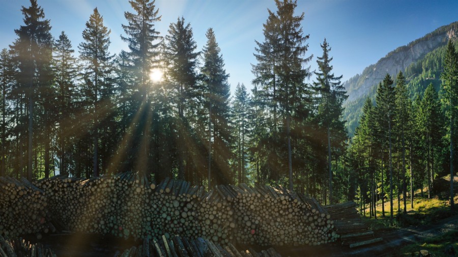 Hasslacher Werke e.U.